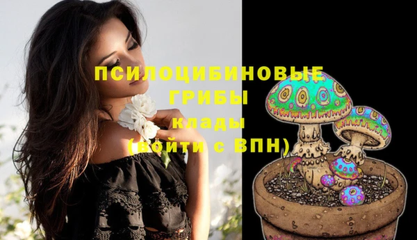 марки lsd Надым