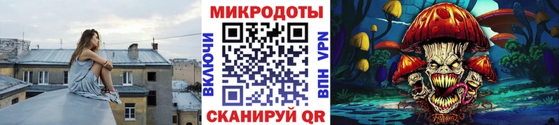 закладка MEGA сайт Галлюциногенные грибы мицелий Тайга
